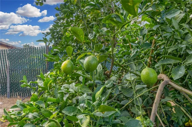 $445,000 | 18585 14th Street, Bloomington, CA 92316