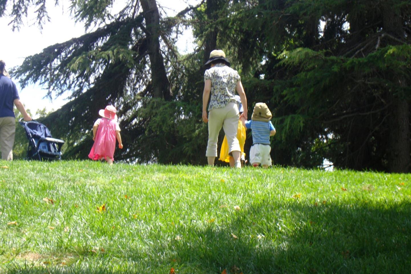 1 Connemara Drive Pacifica, CA 94044 - Photo 42 of 45 a backyard of a house with lots of green space and fountain
