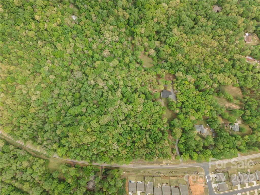 6.31 Henry Harris Road Indian Land, SC 29707 - Photo 3 of 4 a view of a yard with plants