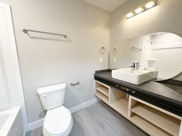 a bathroom with a sink and a toilet