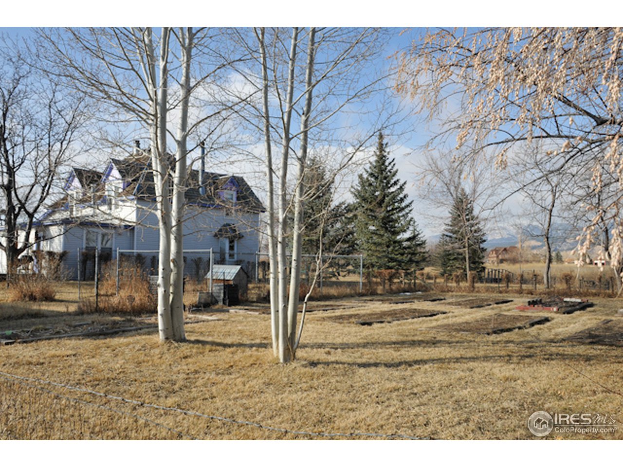 5442 St Vrain Road Longmont, CO 80503 - Photo 4 of 24 Gallery Image 4