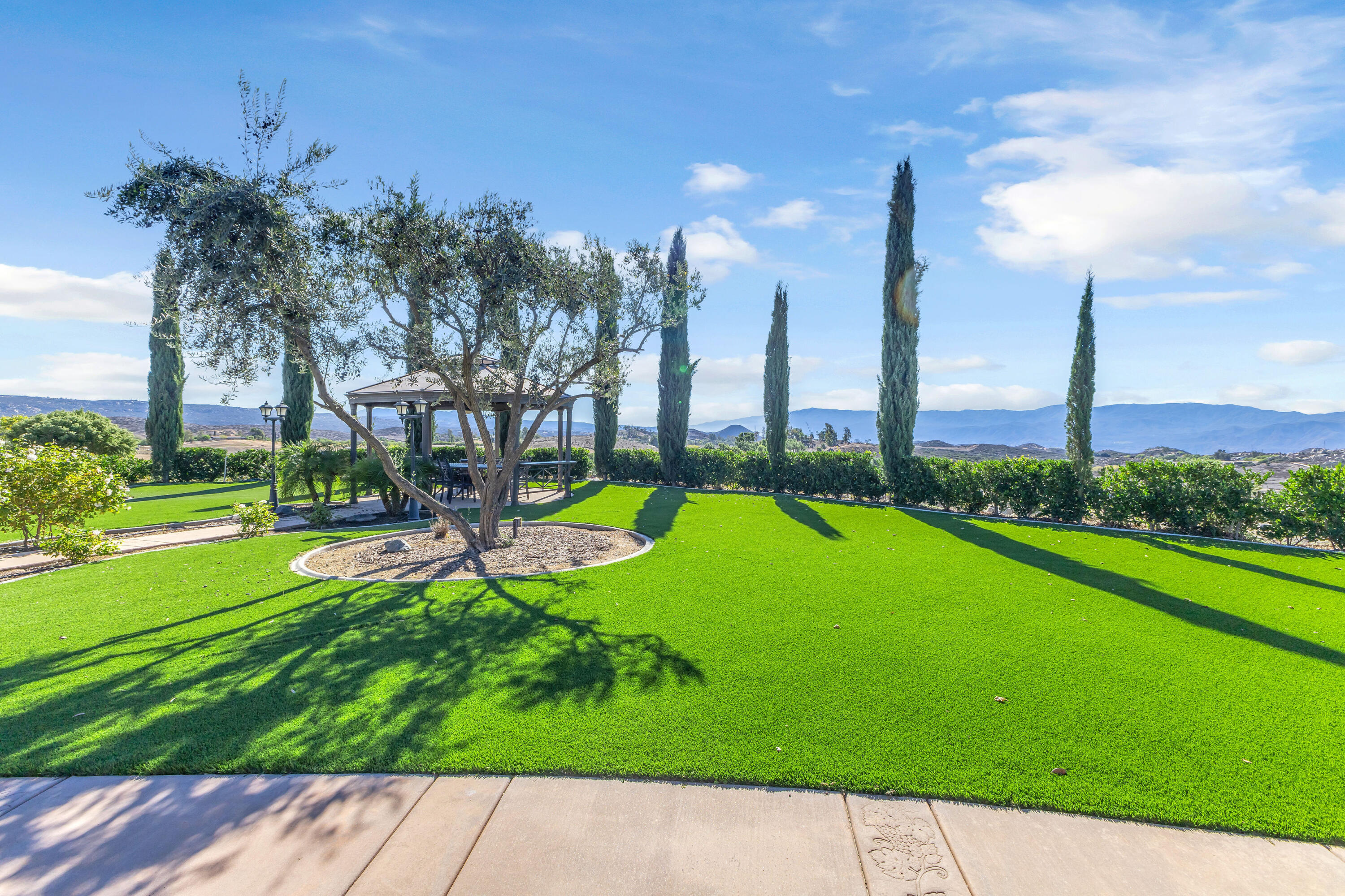 39345 San Ignacio Road Hemet, CA 92544 - Photo 74 of 110 IMG_3144