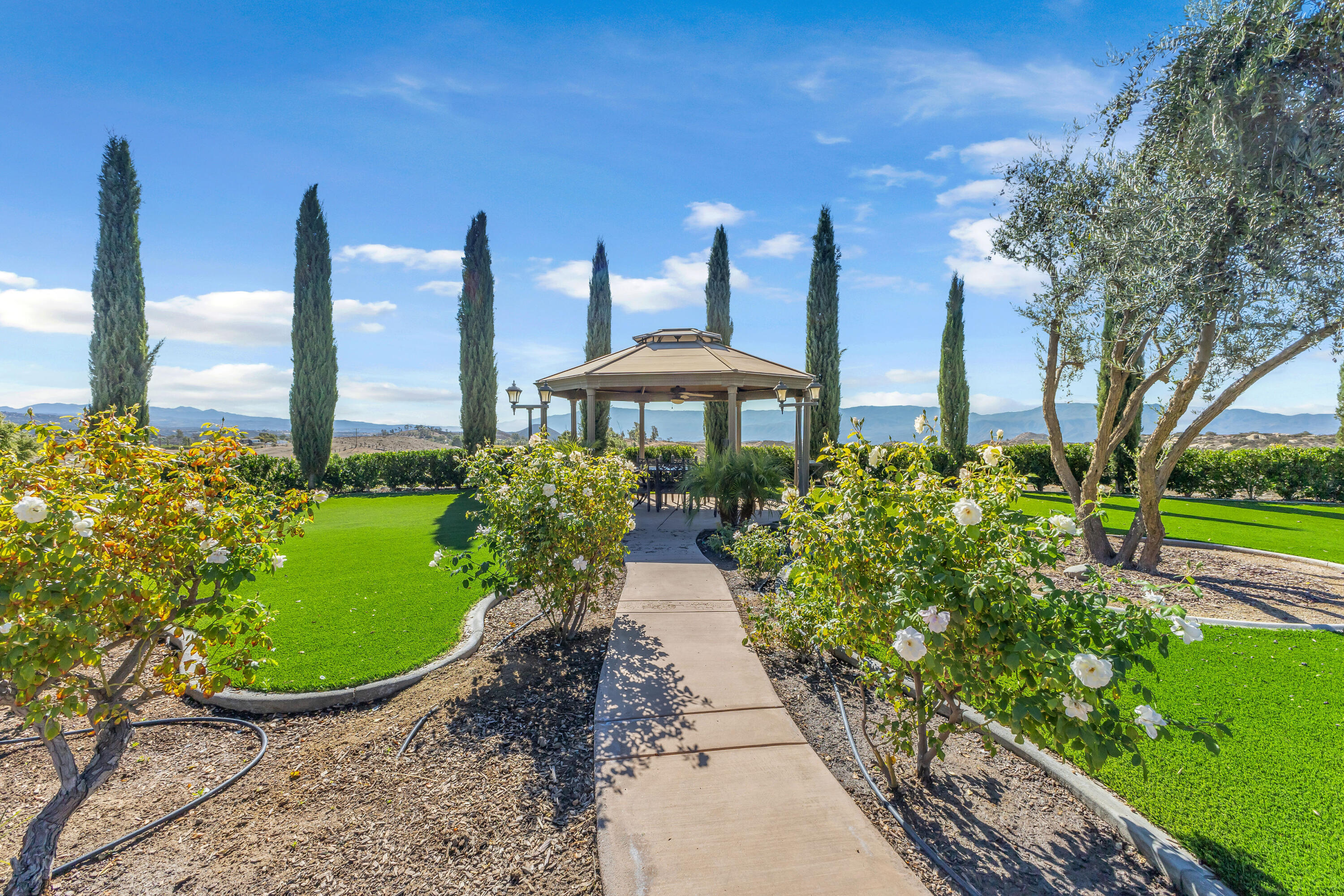 39345 San Ignacio Road Hemet, CA 92544 - Photo 75 of 110 IMG_3147