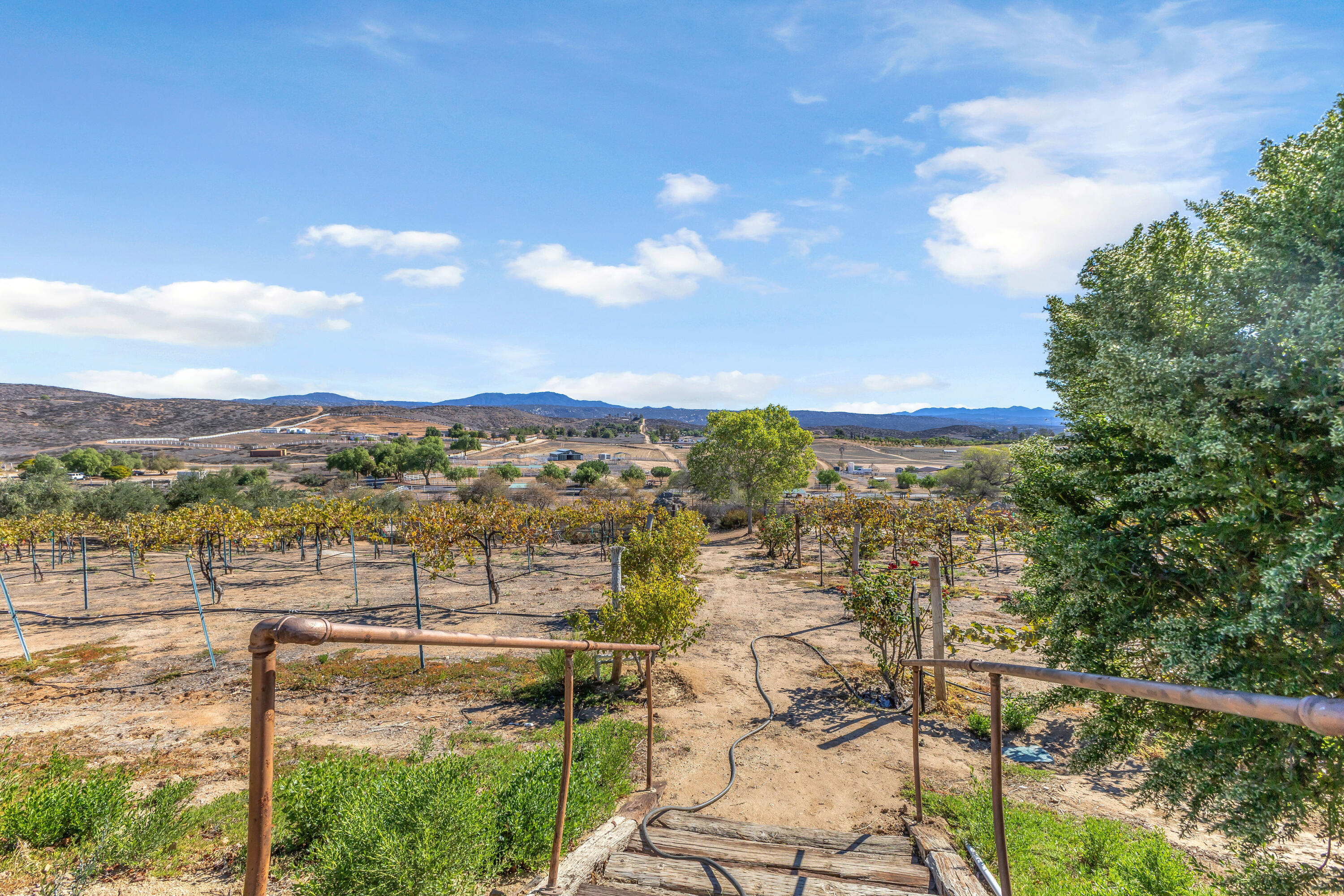 39345 San Ignacio Road Hemet, CA 92544 - Photo 79 of 110 IMG_3159