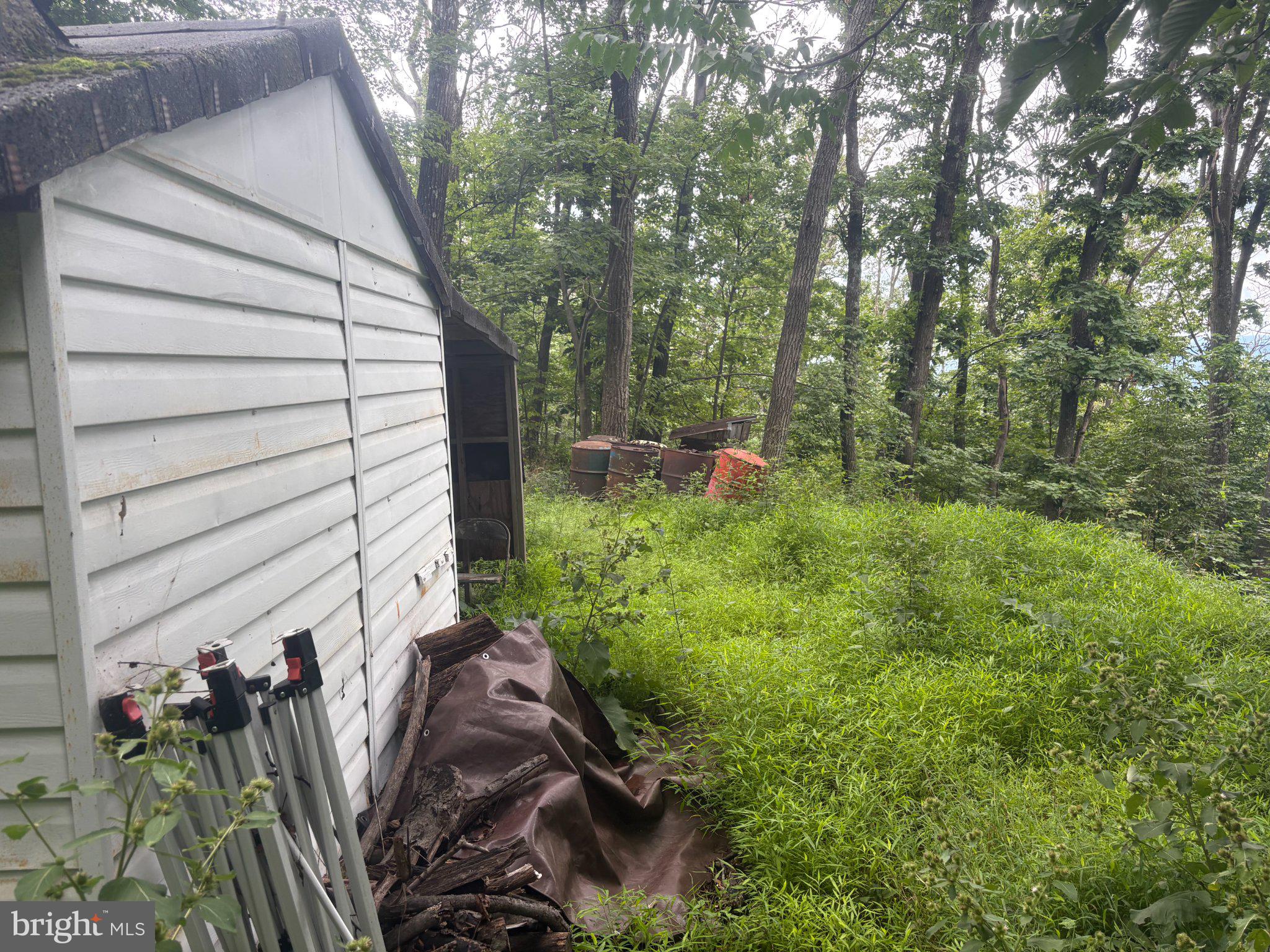 Sundown Road Gore, VA 22637 - Photo 8 of 10 Secluded shed in lush greenery.