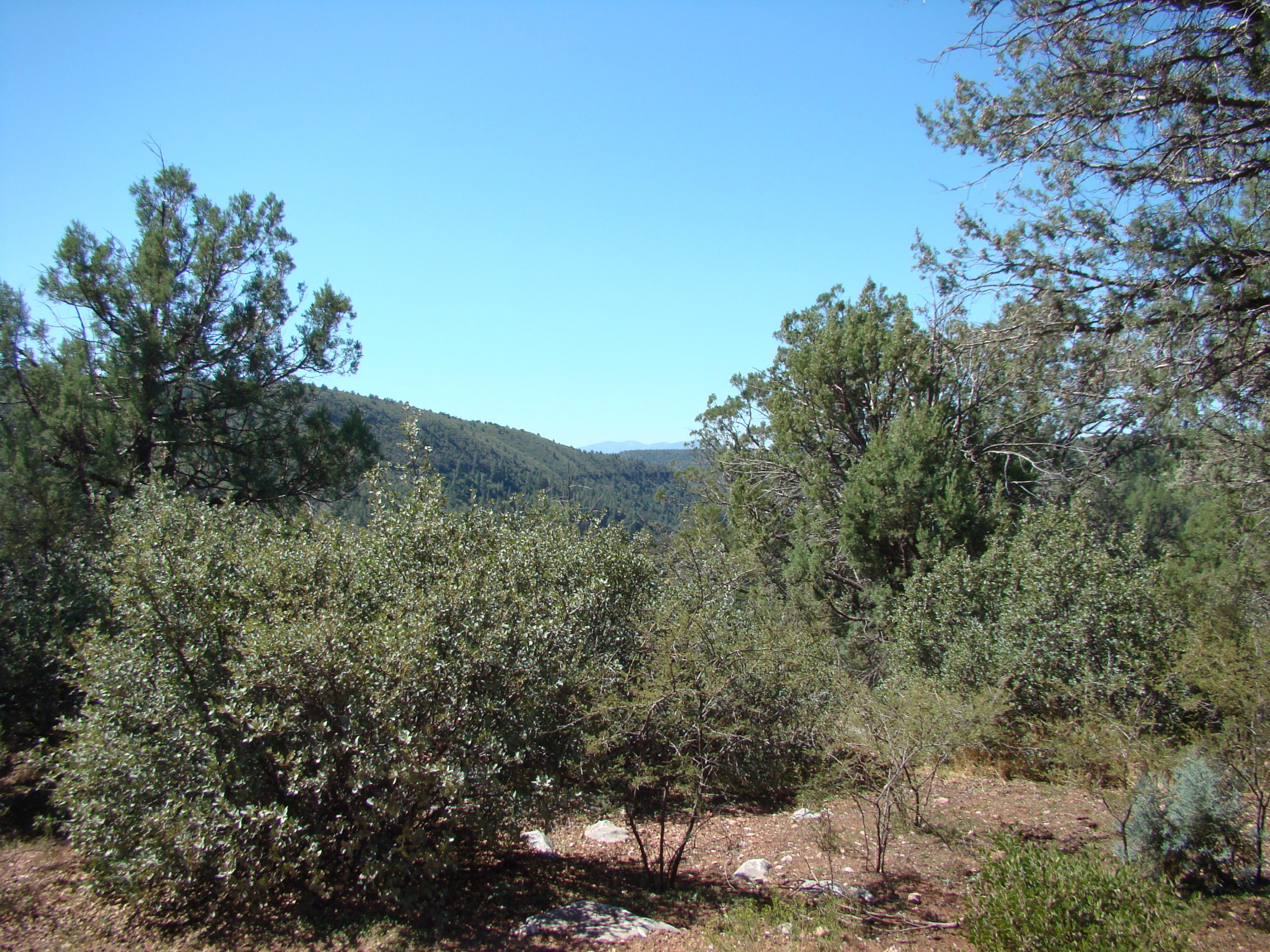 17033 Fire Control Road Payson, AZ 85541 - Photo 22 of 28