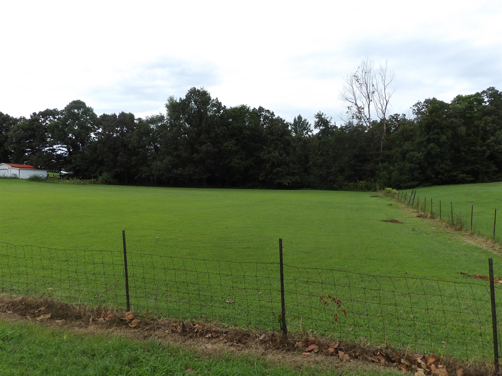 0 Glendale Road Dickson, TN 37055 - Photo 3 of 4