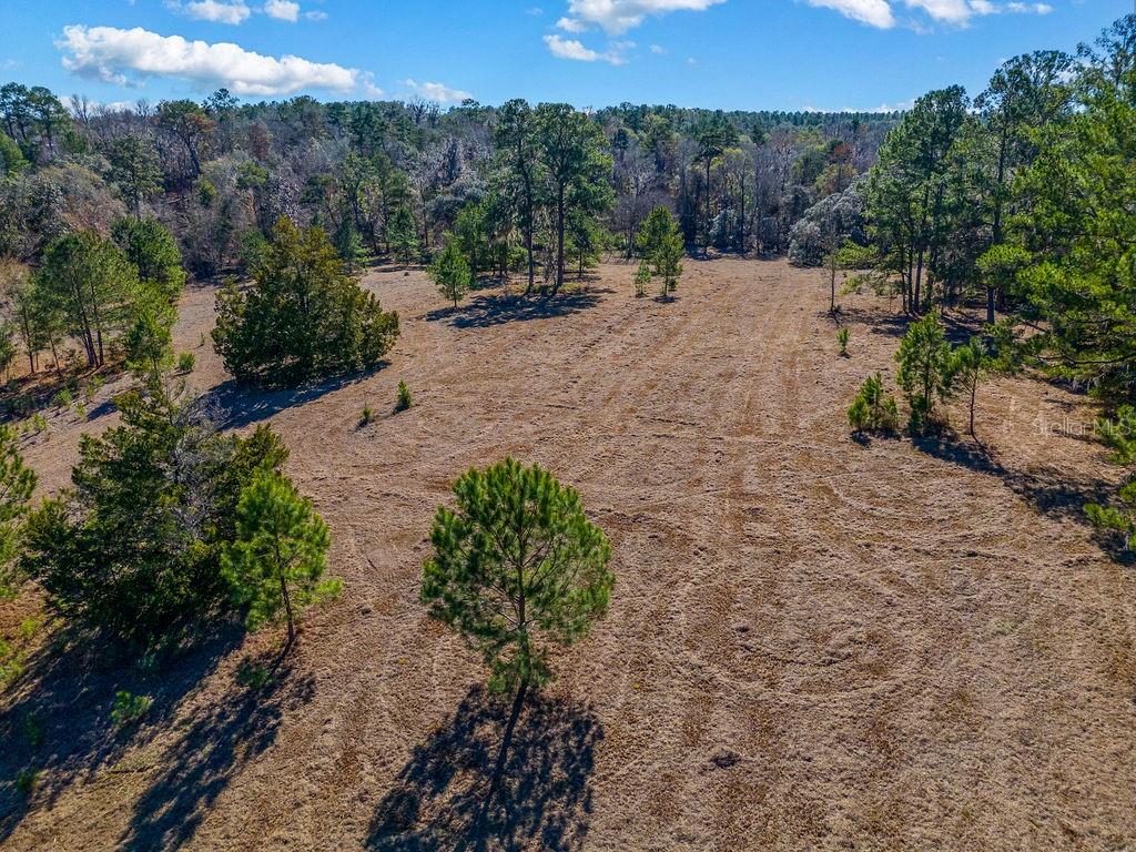 Tbd Northwest 99th Avenue Lake Butler, FL 32054 - Photo 13 of 19 a view of a backyard of a house