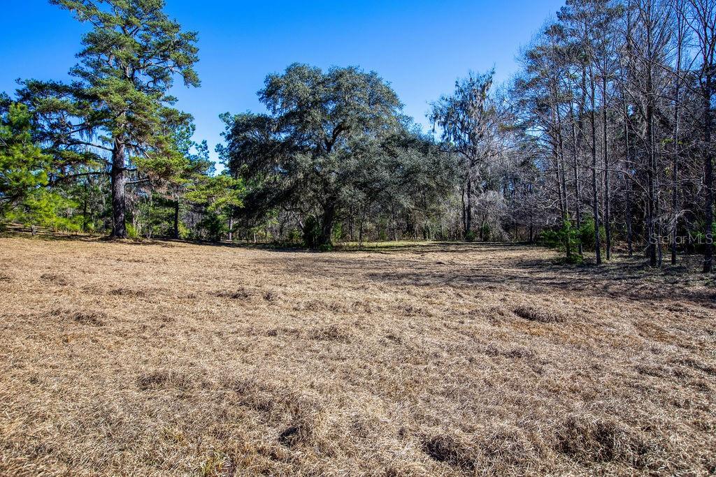 Tbd Northwest 99th Avenue Lake Butler, FL 32054 - Photo 18 of 19 a view of outdoor space with trees