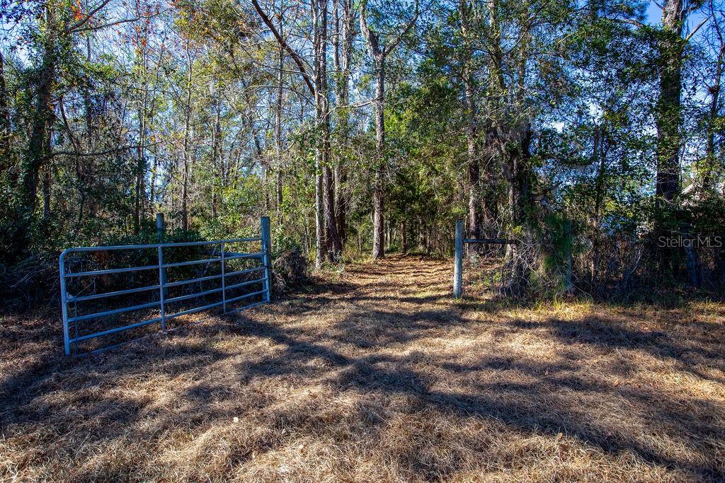 Tbd Northwest 99th Avenue Lake Butler, FL 32054 - Photo 3 of 19 a view of backyard with wooden fence and large trees
