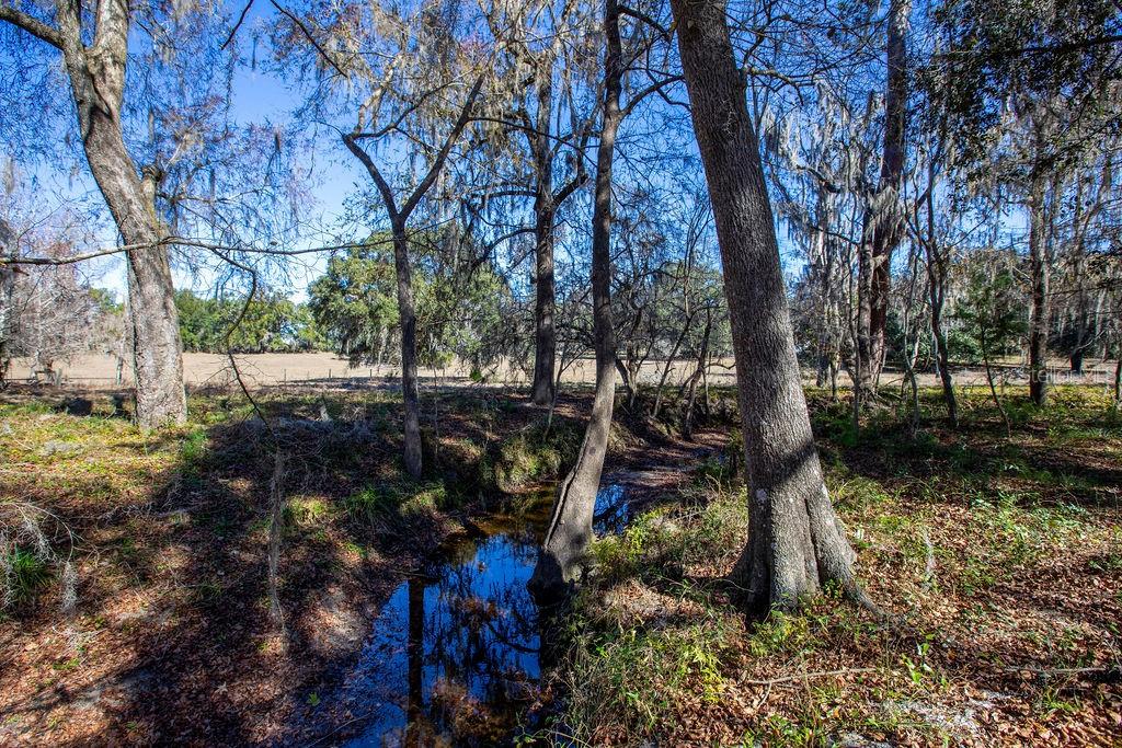 Tbd Northwest 99th Avenue Lake Butler, FL 32054 - Photo 6 of 19 a backyard of a house with lots of green space