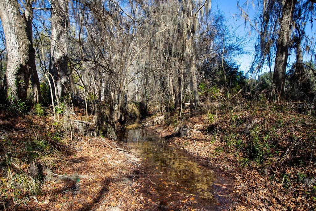 Tbd Northwest 99th Avenue Lake Butler, FL 32054 - Photo 8 of 19 a view of a yard with large trees