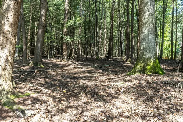 $225,000 | 69 Tanglewood Trail, Campbell, NY 14821