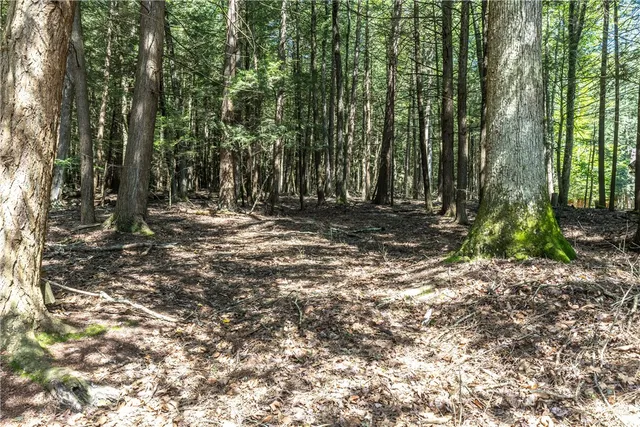 $245,000 | 69 Tanglewood Trail, Campbell, NY 14821