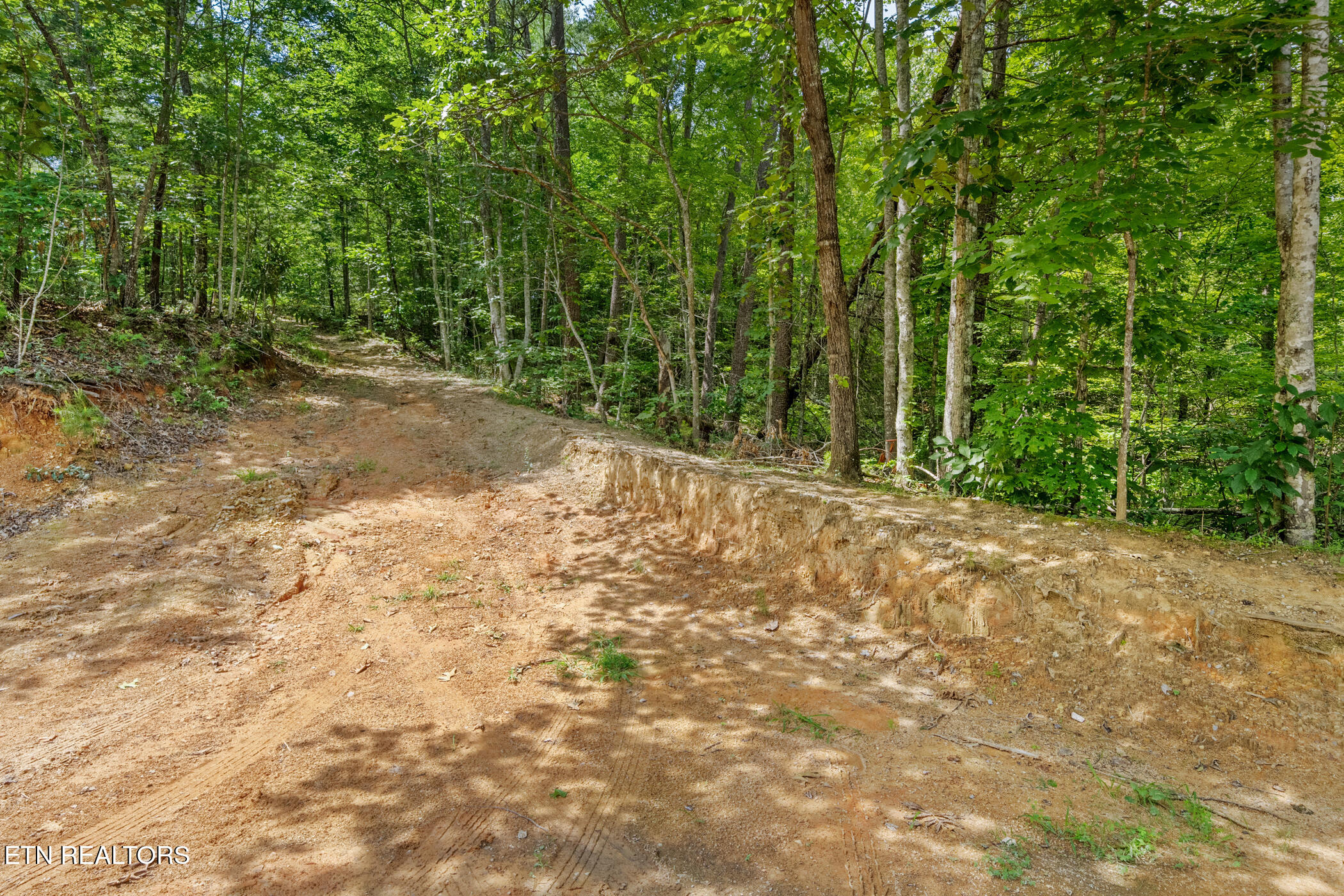 4091 Camp Hollow Road Sevierville, TN 37876 - Photo 42 of 49 dsc09323