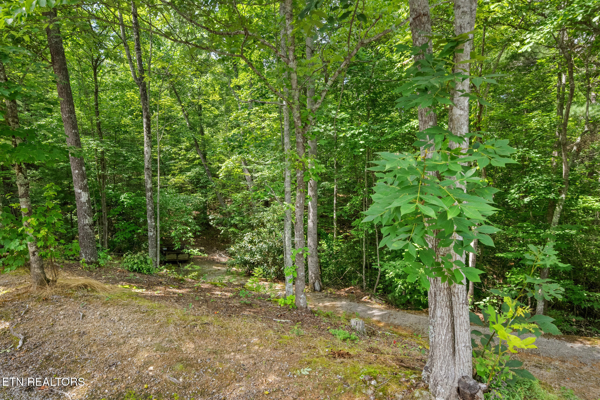 4091 Camp Hollow Road Sevierville, TN 37876 - Photo 45 of 49 dsc09332