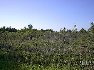 947375-4.JPG