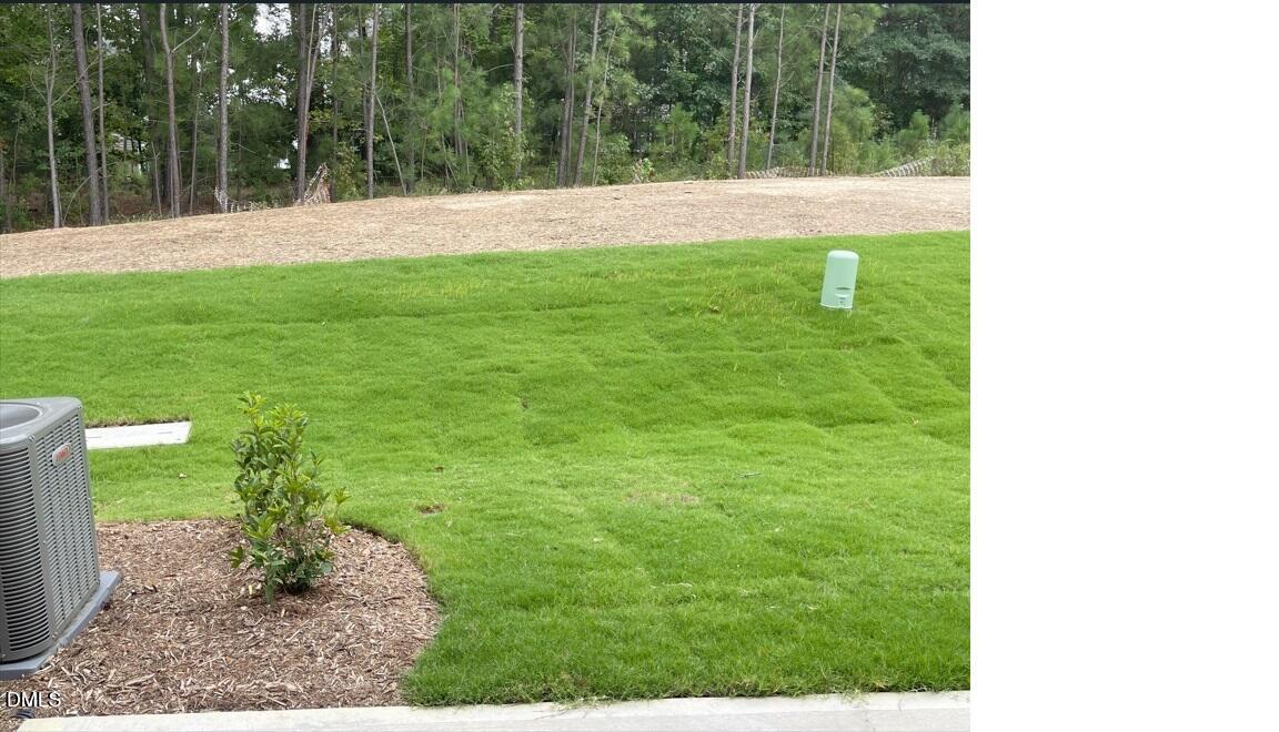 6404 Lady Eliza Lane Raleigh, NC 27610 - Photo 34 of 37 a view of backyard with green space