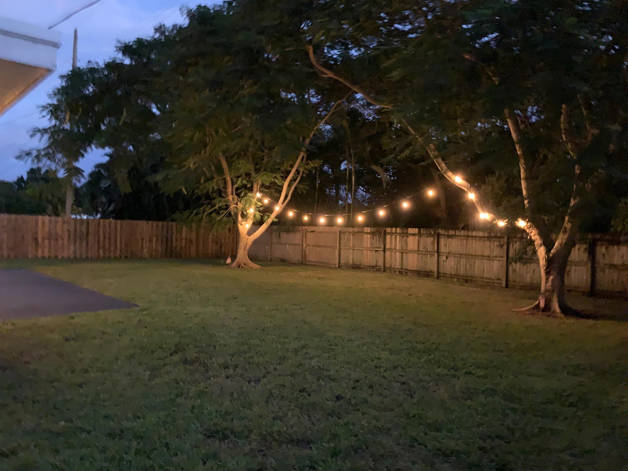 845 Cinnamon Road North Palm Beach, FL 33408 - Photo 23 of 24 Backyard