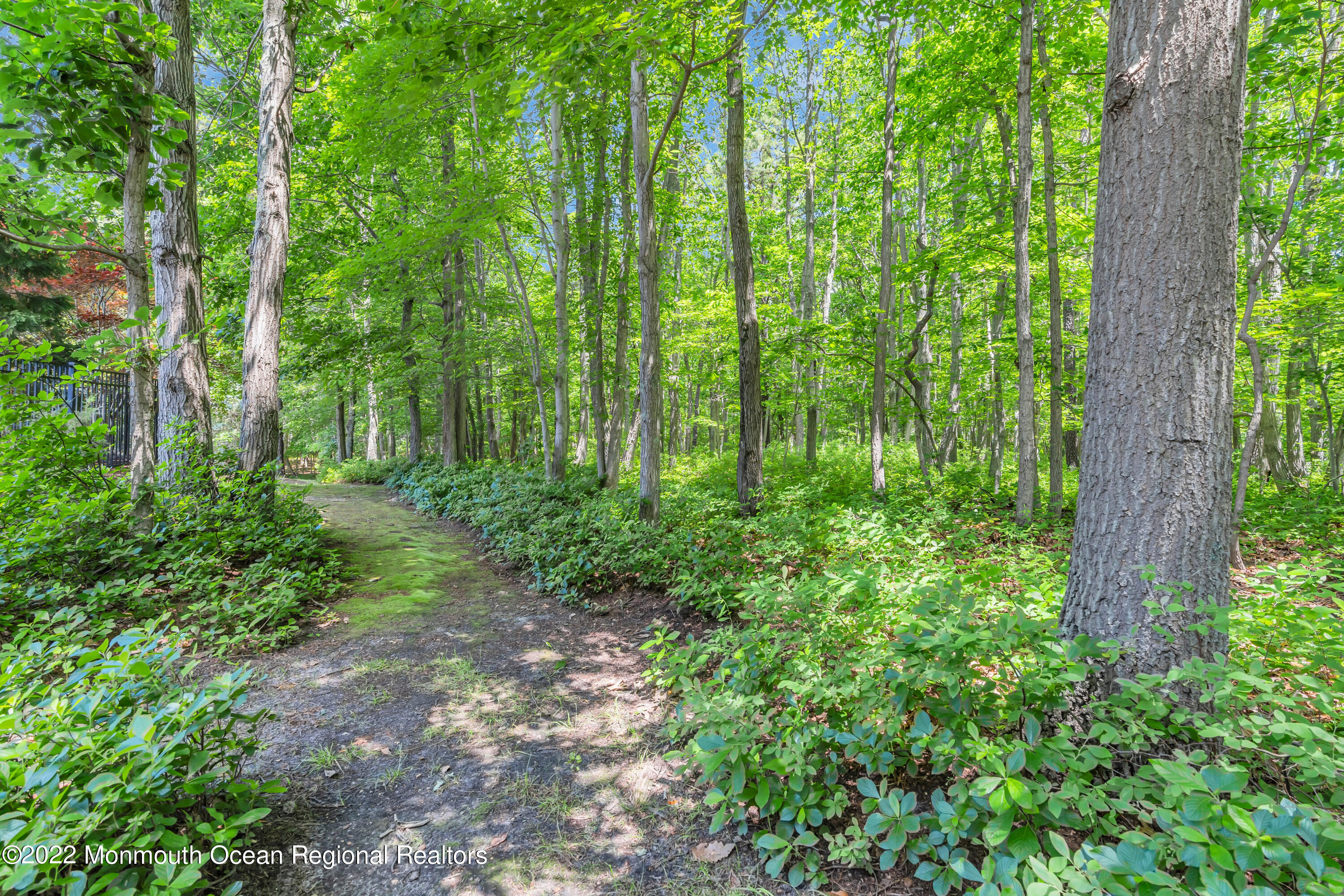 10 Applegate Road Millstone Township, NJ 08510 - Photo 58 of 73 071_dsc08747