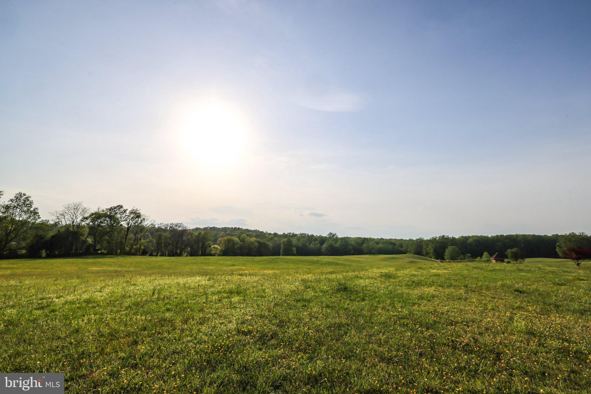 3830 Zulla Road The Plains, VA 20198 - Photo 69 of 79 Gallery Image 69