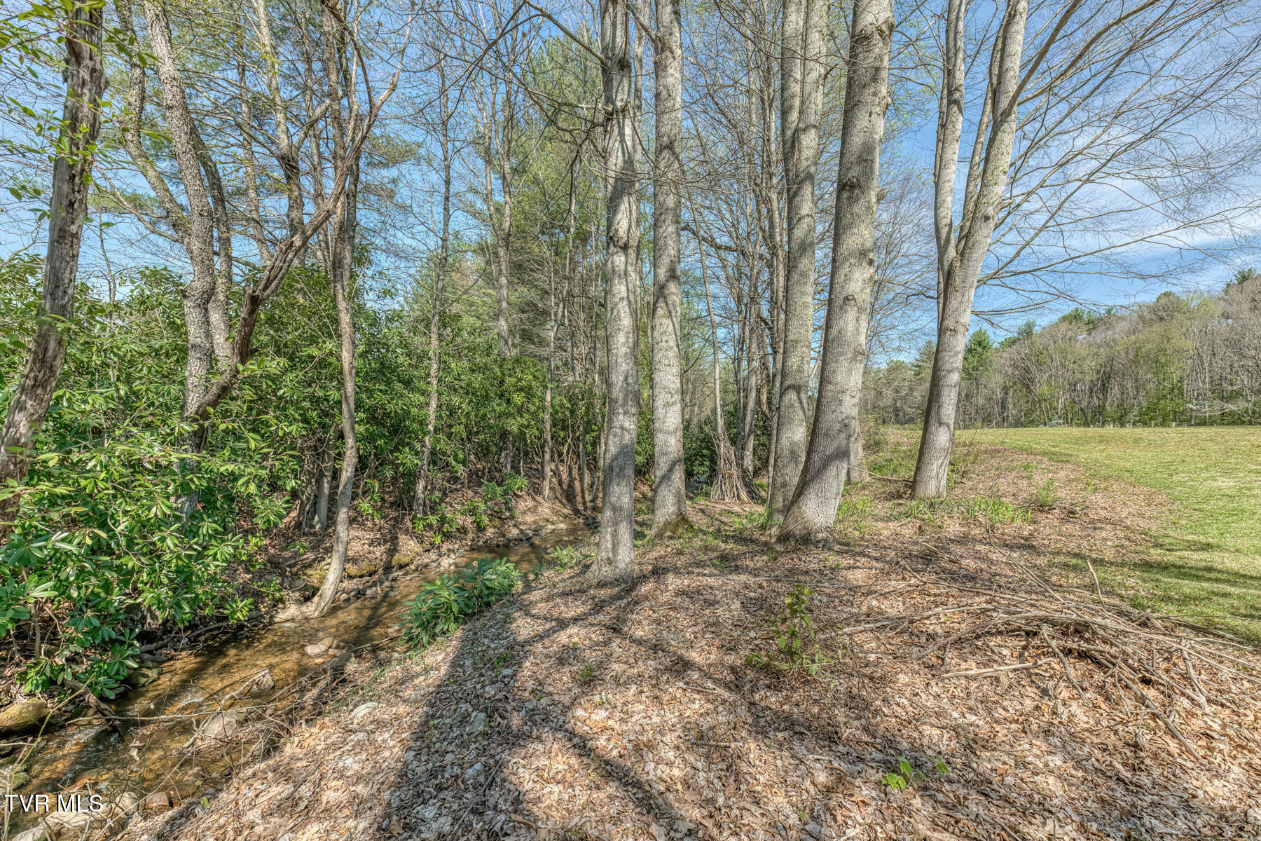 1650 Sluder Road Shady Valley, TN 37688 - Photo 45 of 99 1650 Sluder Rd-45