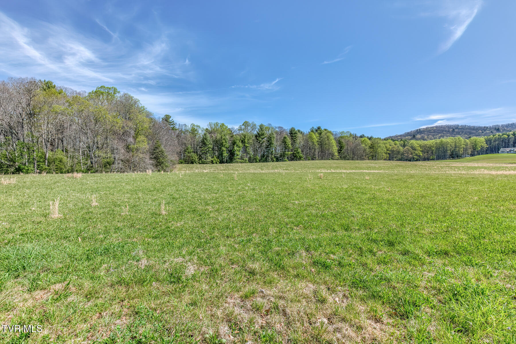 1650 Sluder Road Shady Valley, TN 37688 - Photo 48 of 99 1650 Sluder Rd-48