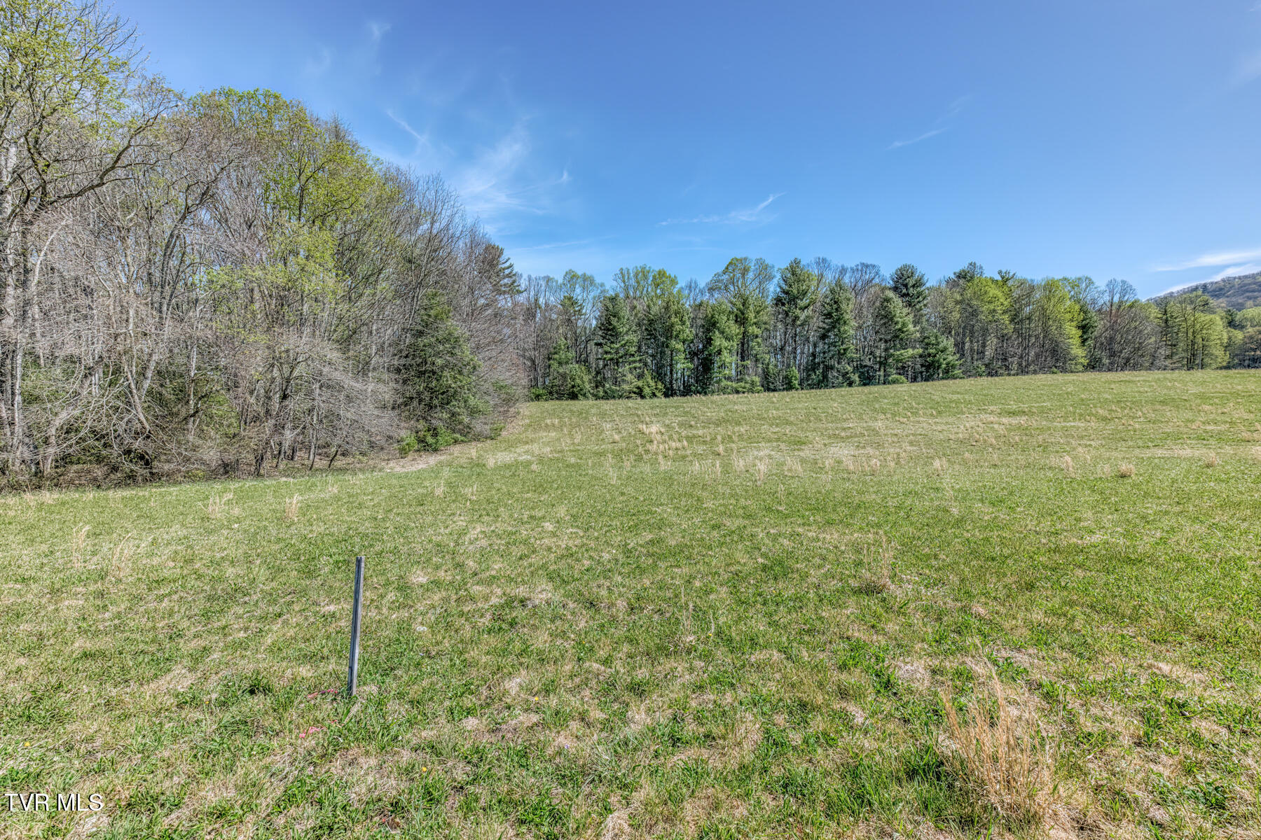 1650 Sluder Road Shady Valley, TN 37688 - Photo 49 of 99 1650 Sluder Rd-49