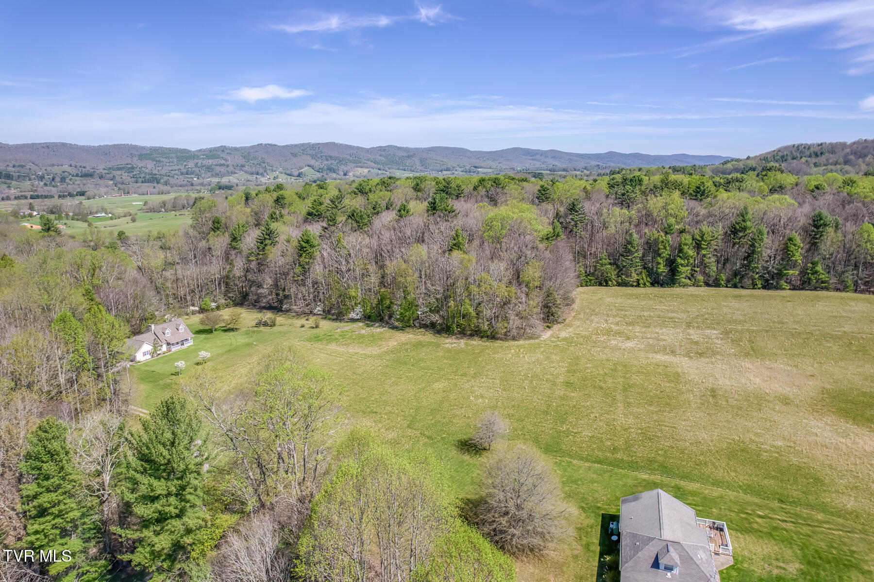 1650 Sluder Road Shady Valley, TN 37688 - Photo 5 of 99 1650 Sluder Rd-5