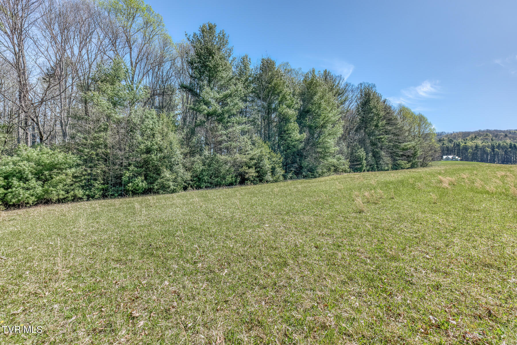 1650 Sluder Road Shady Valley, TN 37688 - Photo 52 of 99 1650 Sluder Rd-52