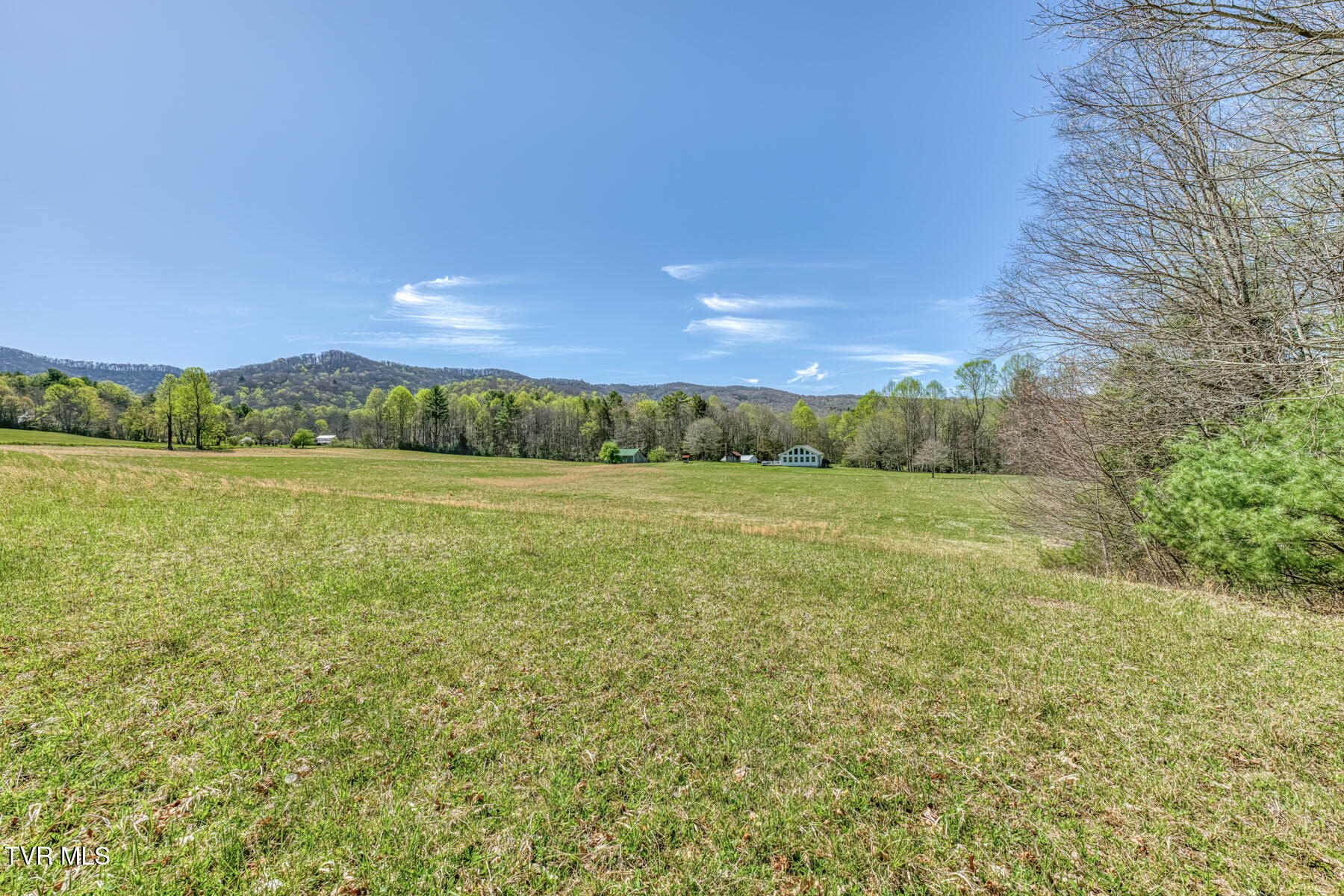 1650 Sluder Road Shady Valley, TN 37688 - Photo 53 of 99 1650 Sluder Rd-53