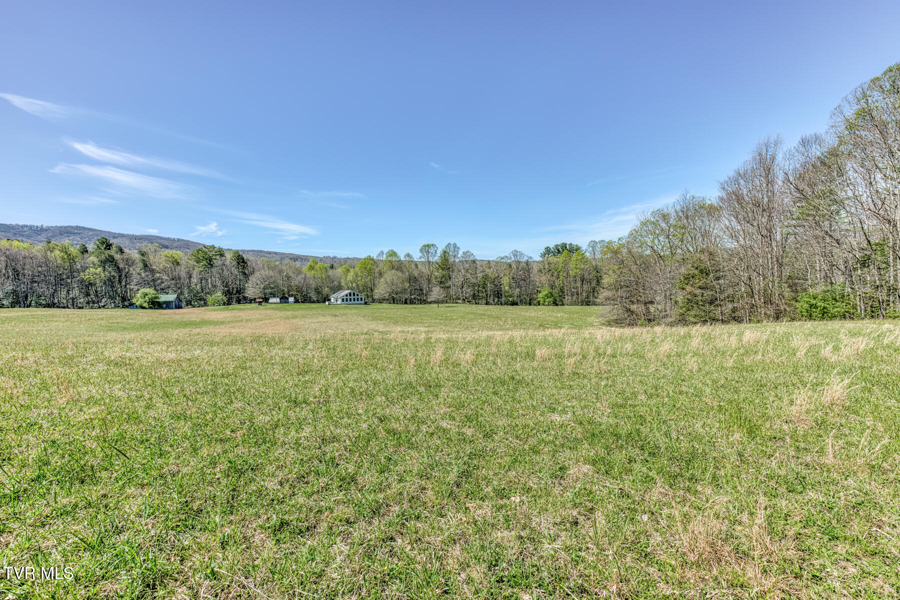 1650 Sluder Road Shady Valley, TN 37688 - Photo 54 of 99 1650 Sluder Rd-54