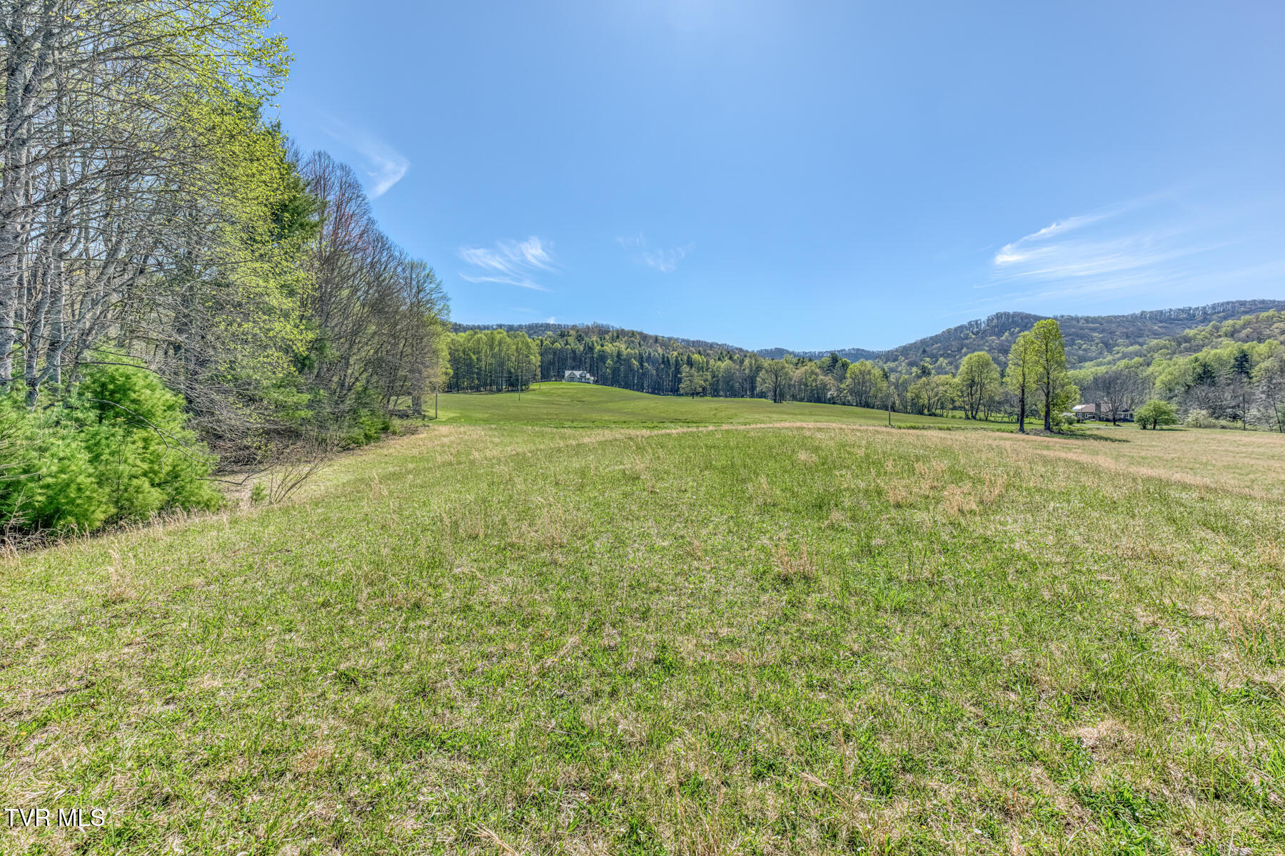 1650 Sluder Road Shady Valley, TN 37688 - Photo 55 of 99 1650 Sluder Rd-55
