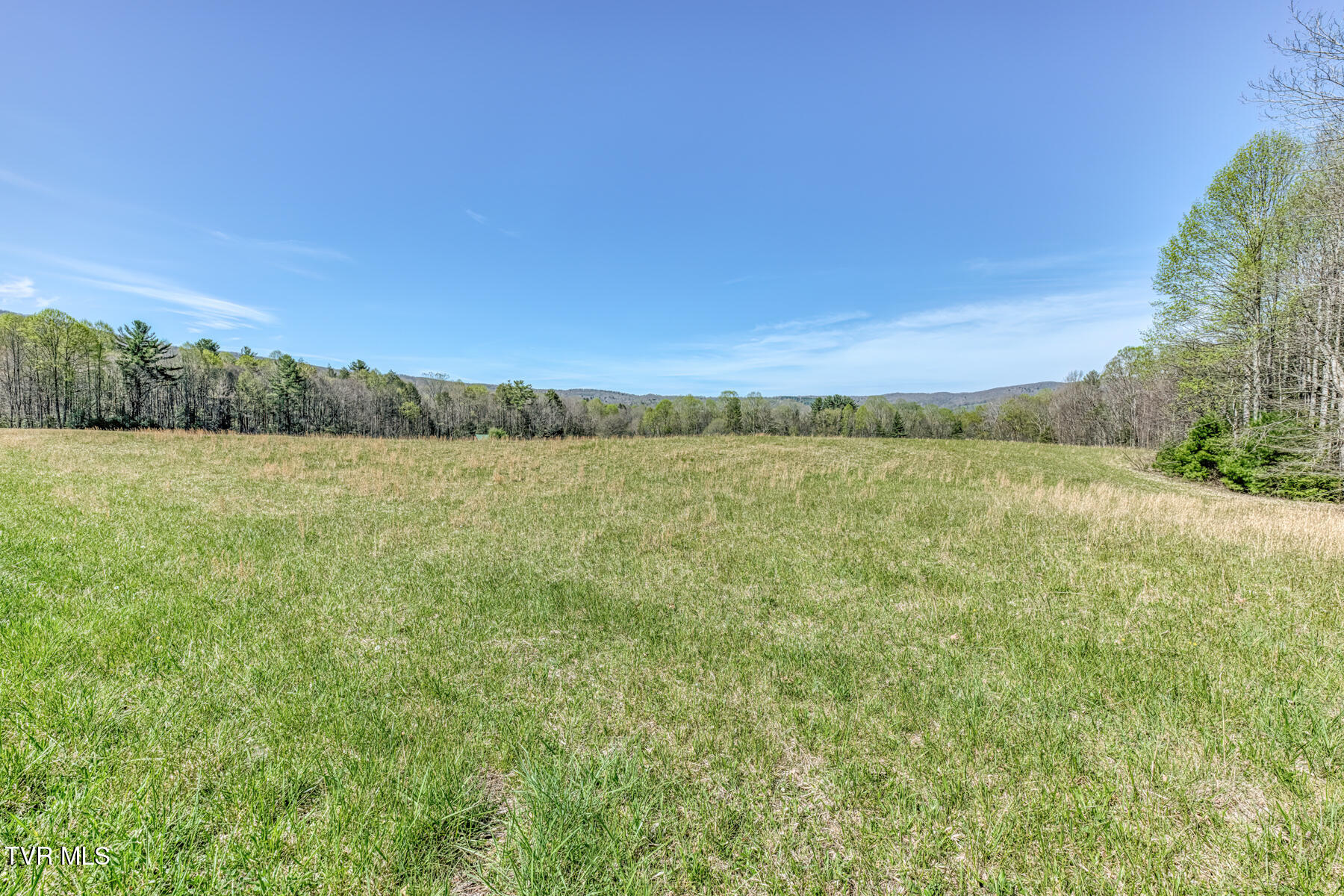 1650 Sluder Road Shady Valley, TN 37688 - Photo 57 of 99 1650 Sluder Rd-57