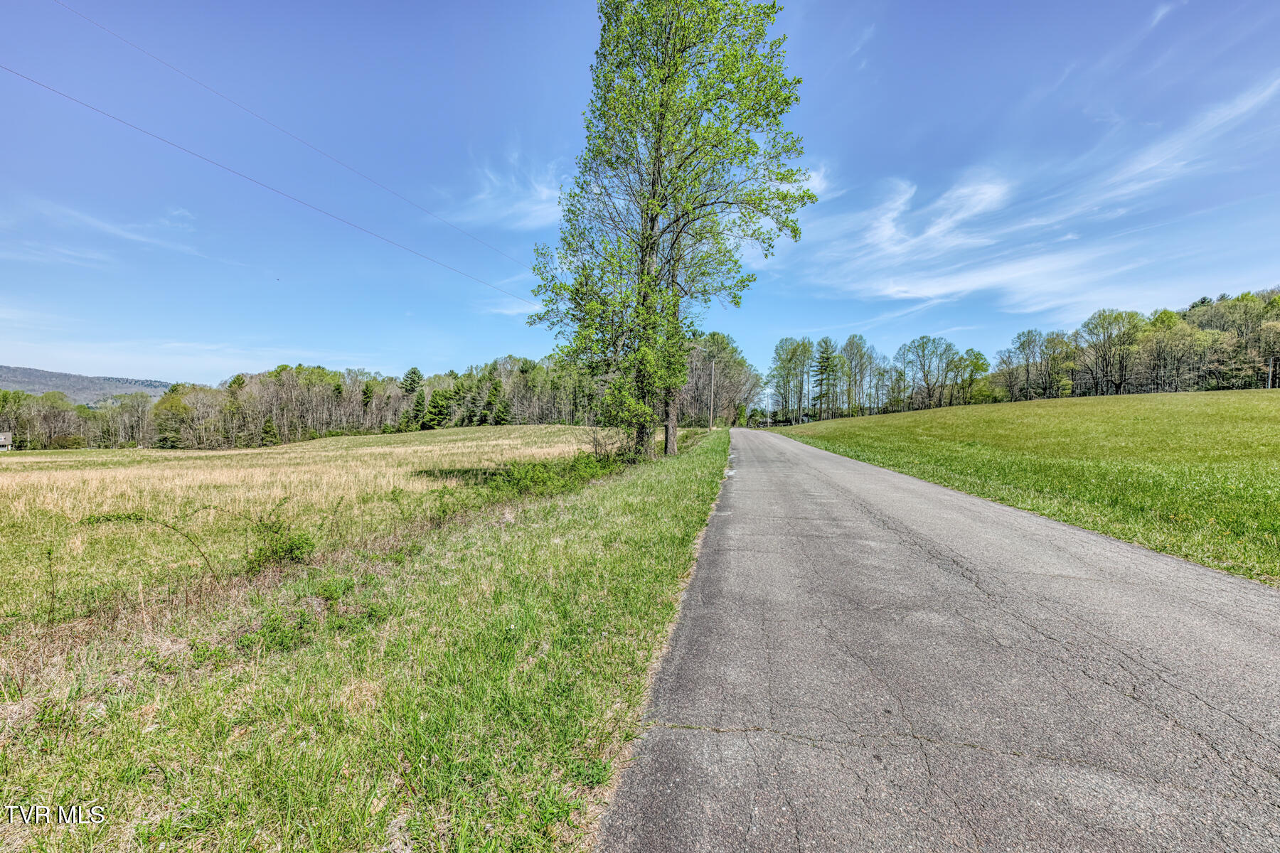 1650 Sluder Road Shady Valley, TN 37688 - Photo 61 of 99 1650 Sluder Rd-61