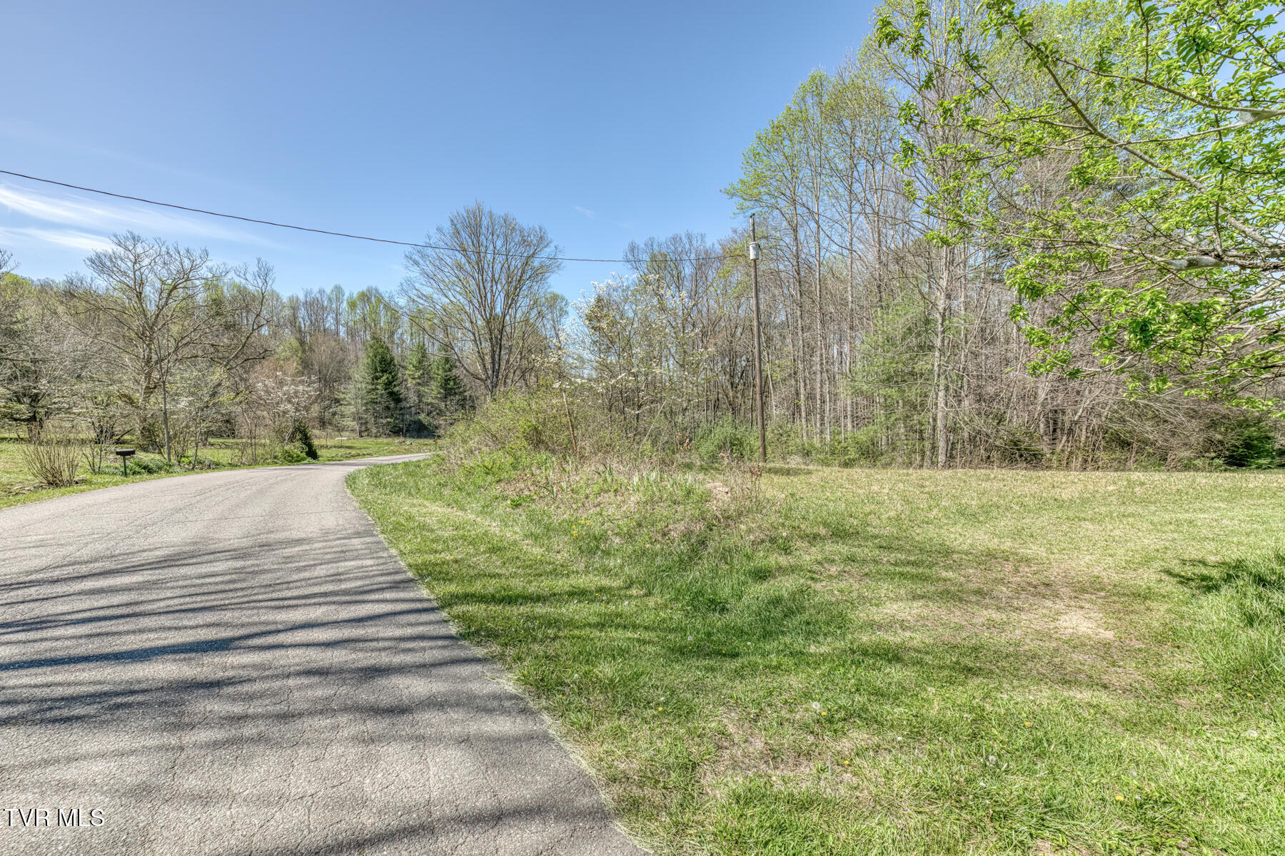 1650 Sluder Road Shady Valley, TN 37688 - Photo 62 of 99 1650 Sluder Rd-62