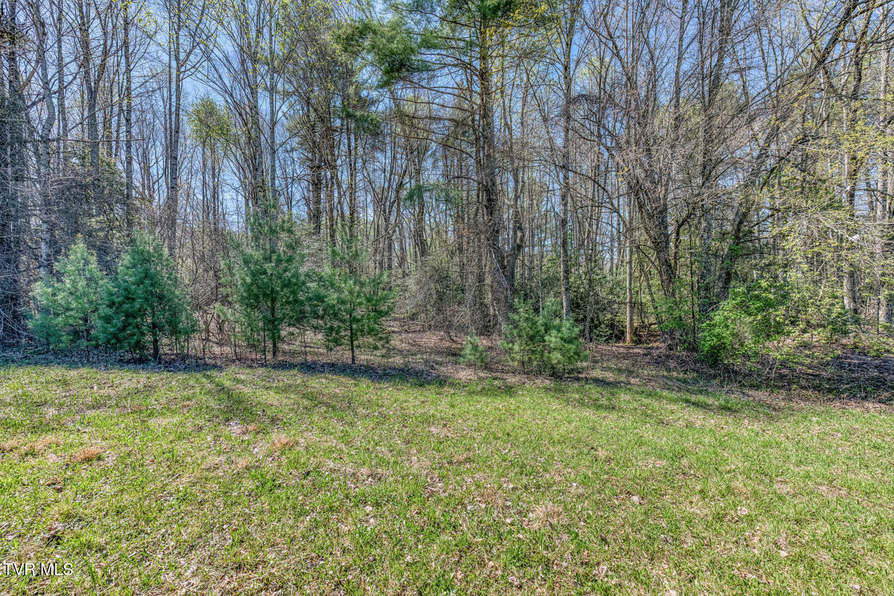 1650 Sluder Road Shady Valley, TN 37688 - Photo 65 of 99 1650 Sluder Rd-65
