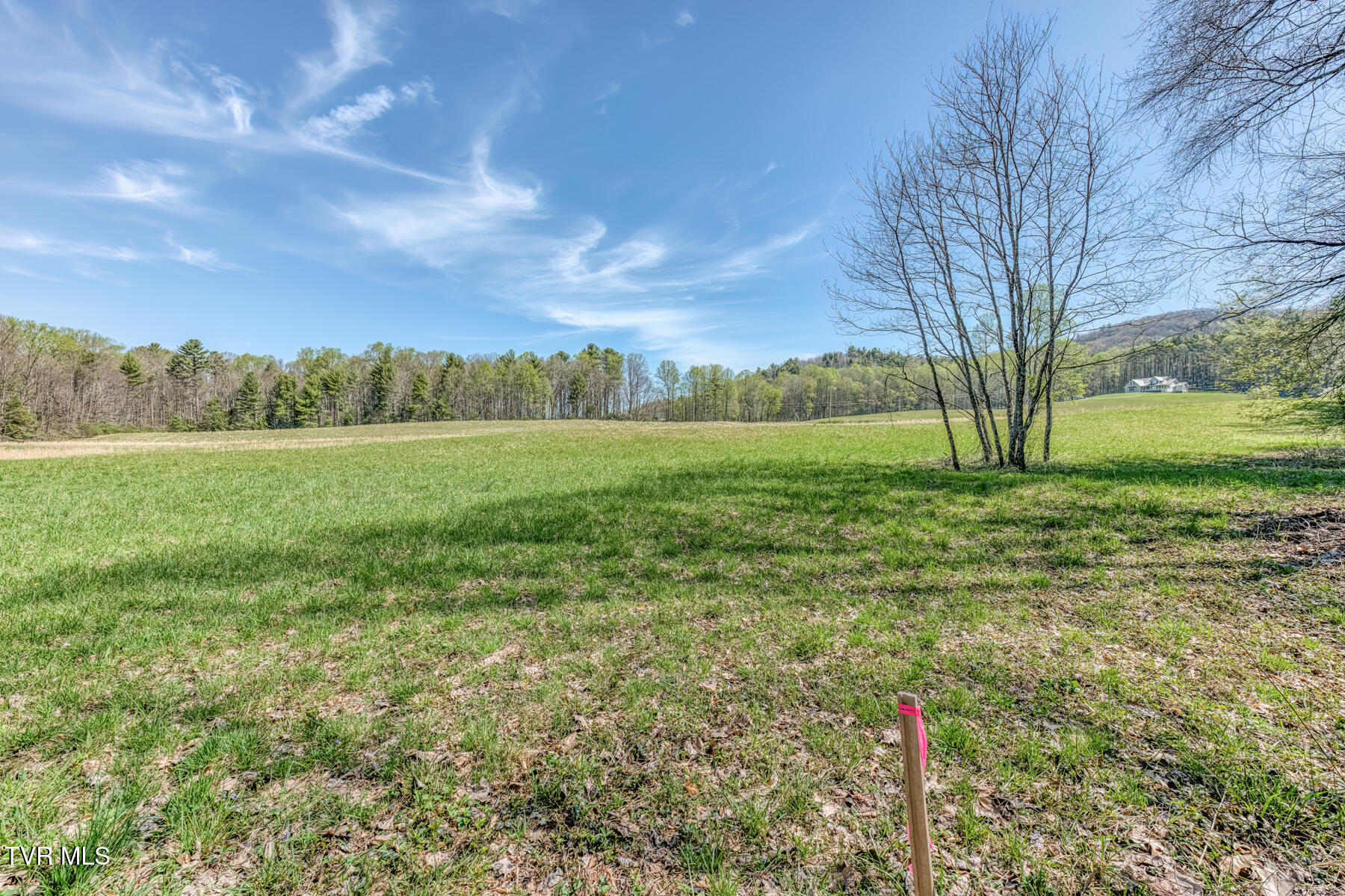 1650 Sluder Road Shady Valley, TN 37688 - Photo 66 of 99 1650 Sluder Rd-66