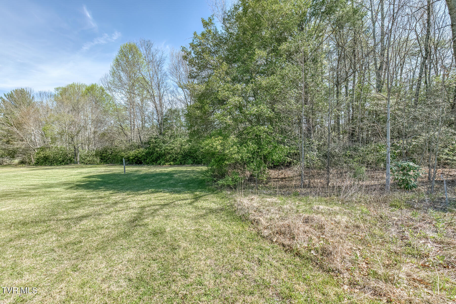 1650 Sluder Road Shady Valley, TN 37688 - Photo 69 of 99 1650 Sluder Rd-69