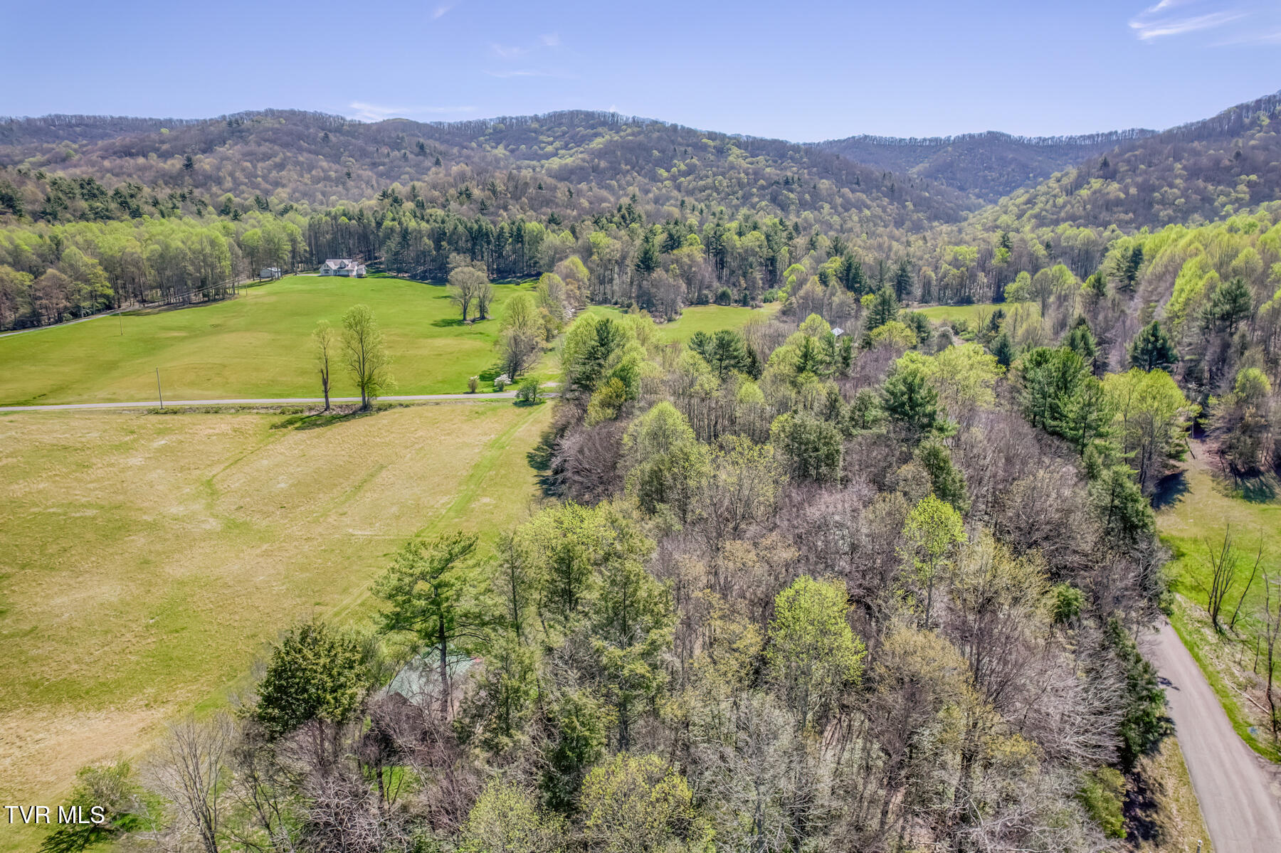 1650 Sluder Road Shady Valley, TN 37688 - Photo 7 of 99 1650 Sluder Rd-7
