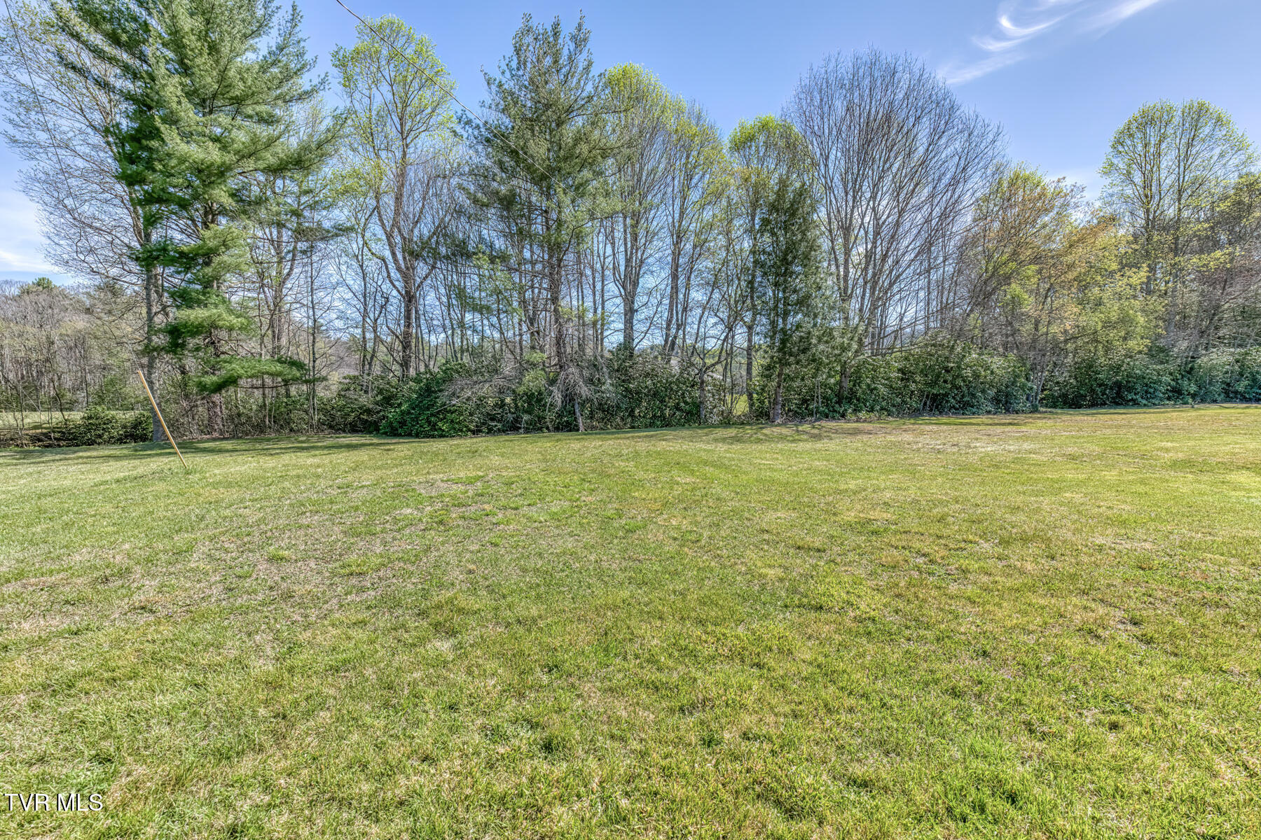 1650 Sluder Road Shady Valley, TN 37688 - Photo 74 of 99 1650 Sluder Rd-74