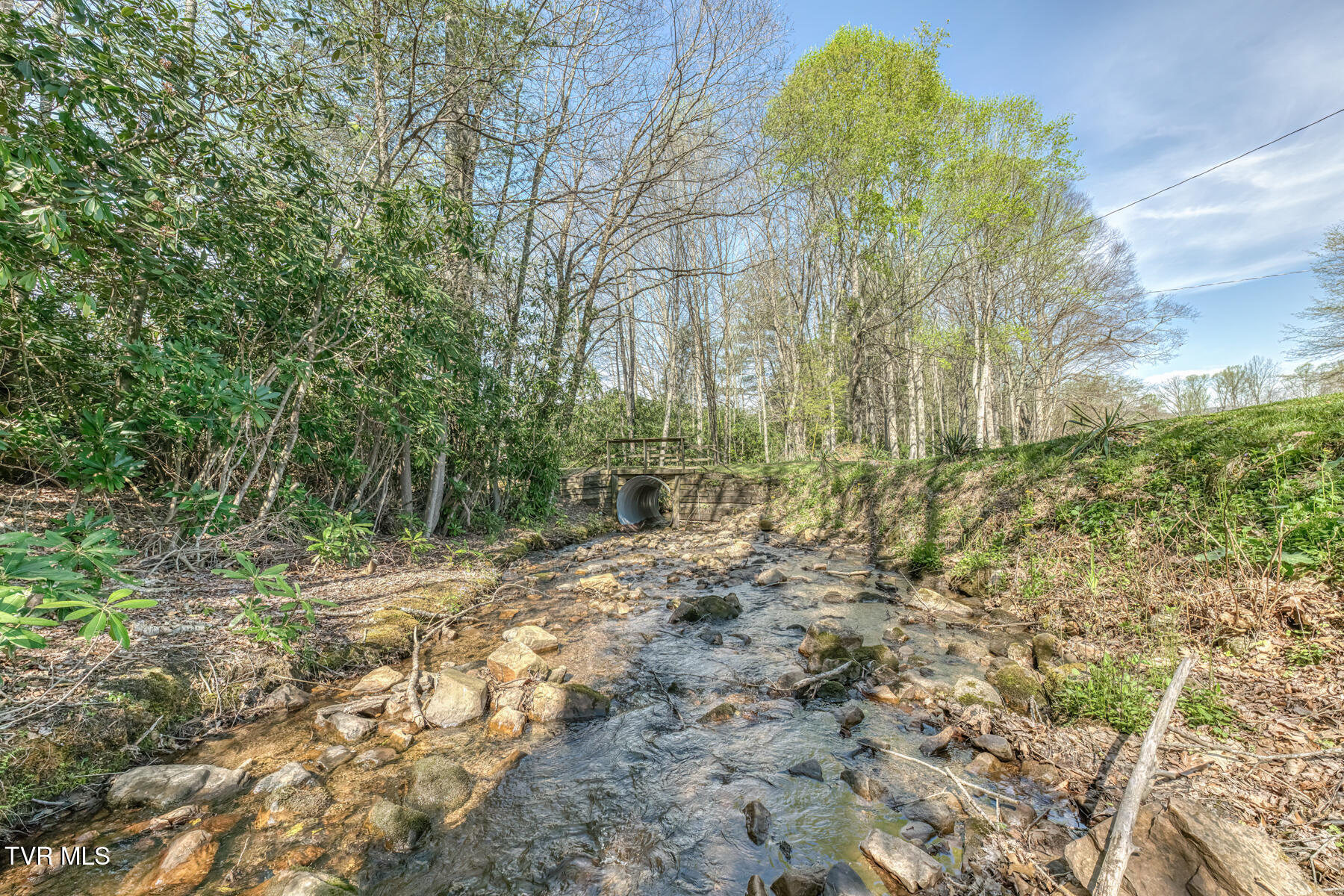 1650 Sluder Road Shady Valley, TN 37688 - Photo 76 of 99 1650 Sluder Rd-76