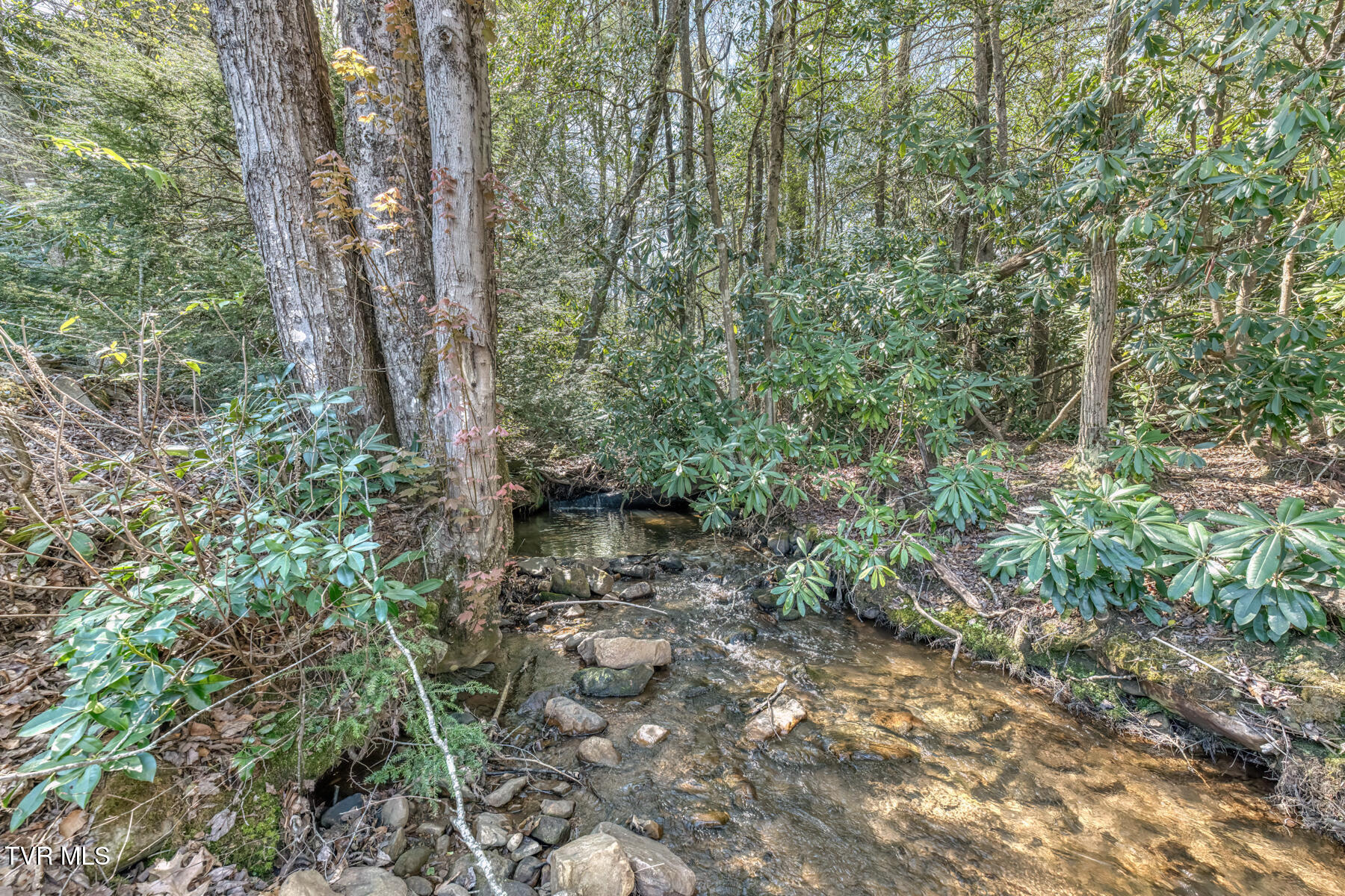 1650 Sluder Road Shady Valley, TN 37688 - Photo 77 of 99 1650 Sluder Rd-77