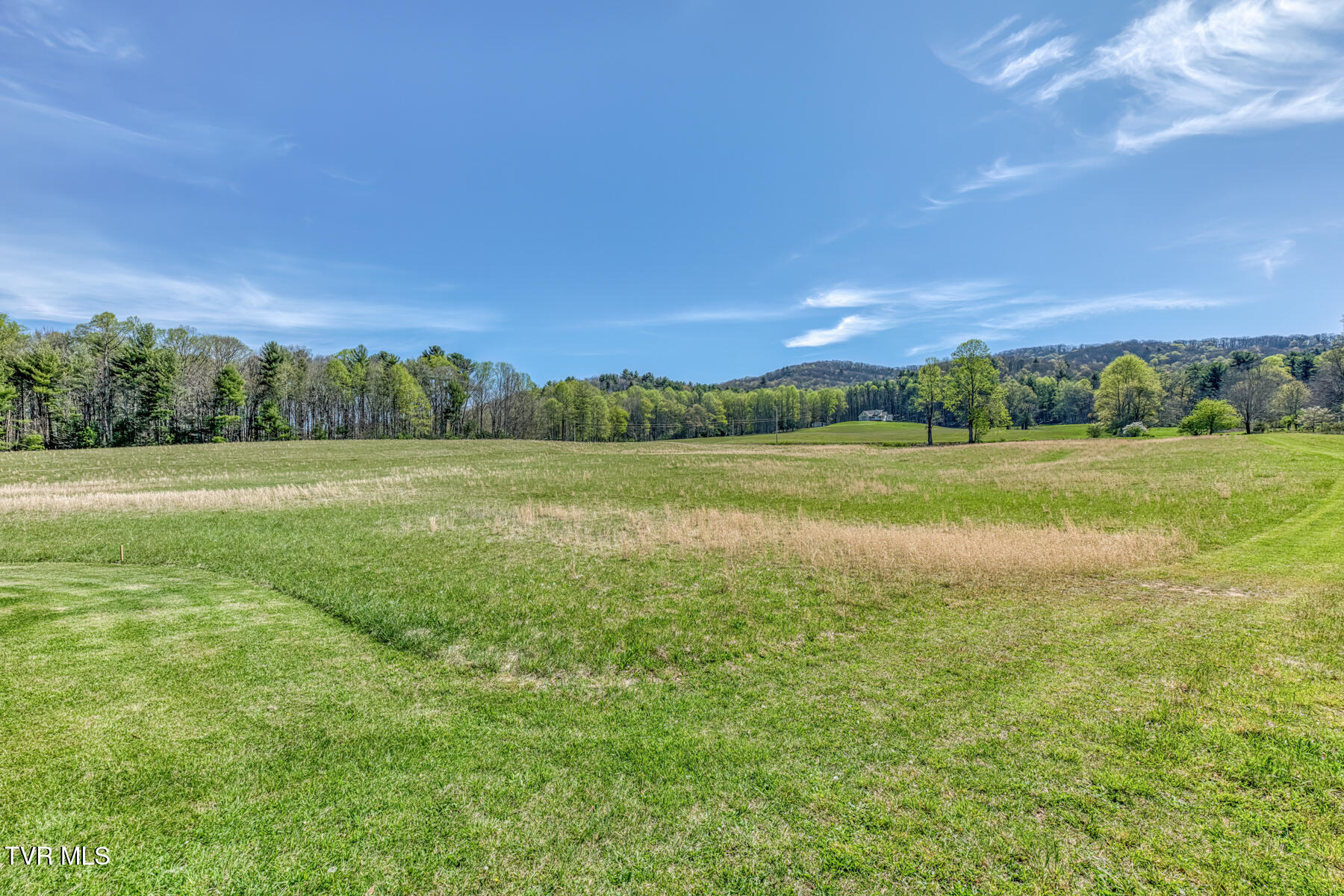 1650 Sluder Road Shady Valley, TN 37688 - Photo 81 of 99 1650 Sluder Rd-81