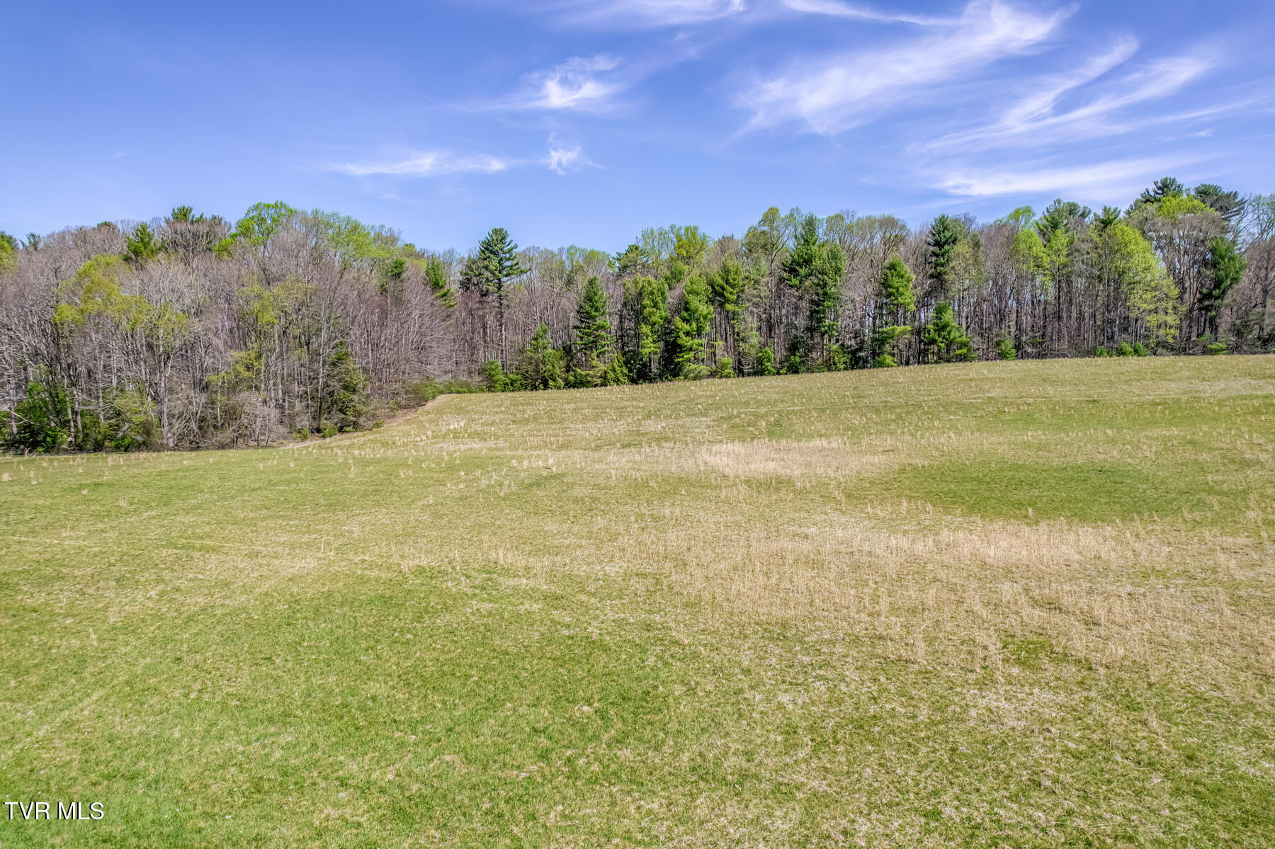 1650 Sluder Road Shady Valley, TN 37688 - Photo 90 of 99 1650 Sluder Rd-90
