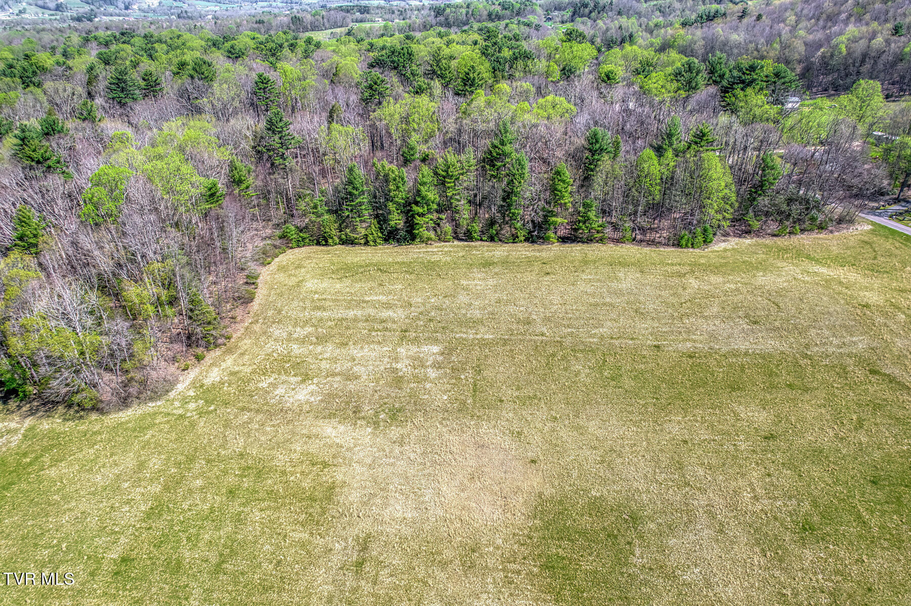 1650 Sluder Road Shady Valley, TN 37688 - Photo 94 of 99 1650 Sluder Rd-94