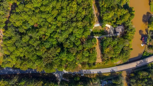a view of a tree with a tree