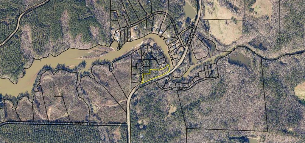 0 Lick Skillet Road Hamilton, GA 31811 - Photo 13 of 14