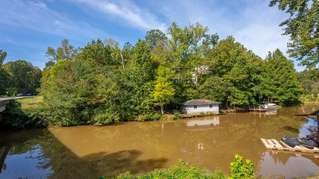 0 Lick Skillet Road Hamilton, GA 31811 - Photo 14 of 14