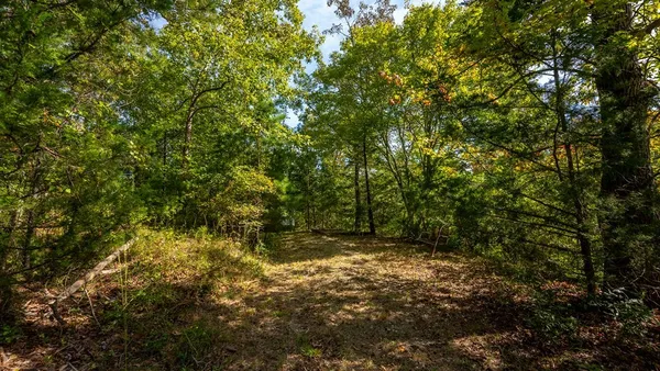 a view of outdoor space and trees